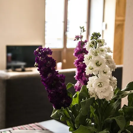 Hotel apartamentowy Royal Route Warszawa
